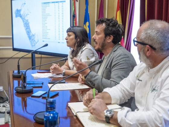 Cádiz presenta su primer Plan Director de Arbolado